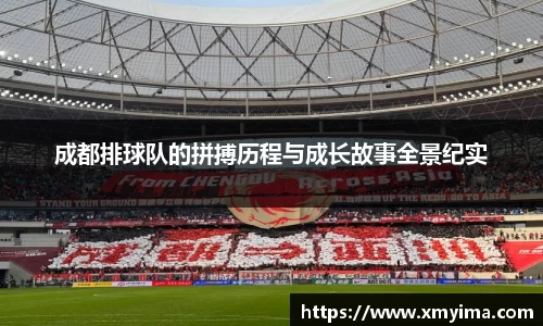 成都排球队的拼搏历程与成长故事全景纪实